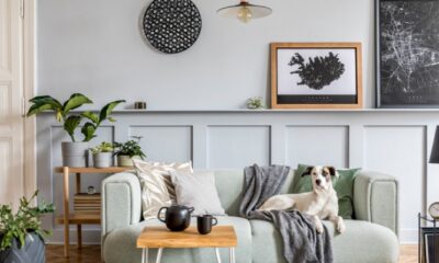 How to Stage a Home with Pets for Sale